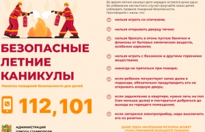 О пожарной безопасности во время каникул напомнили взрослым в мэрии Ставрополя