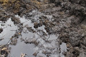 Из-за порыва нефтепровода на Ставрополье пострадали сельхозземли