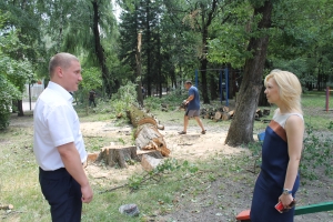 В Ставрополе депутат Госдумы помогла спилить старые тополя