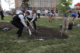 В Ставрополе в сквере 75-летия Победы высадили новые деревья