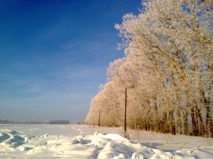 На Ставрополье идет капризная и переменчивая зима