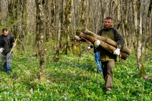 Лесники и чиновники убрали Русский лес Ставрополя