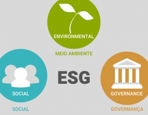 Эксперт рассказала об ESG-трансформации России