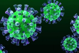 В Дагестане выявлено два случая британского штамма коронавируса
