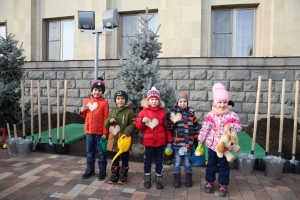 В Ставрополе ели в канун Нового года горожане высаживали целыми семьями