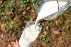 В России изменились правила продажи молочки