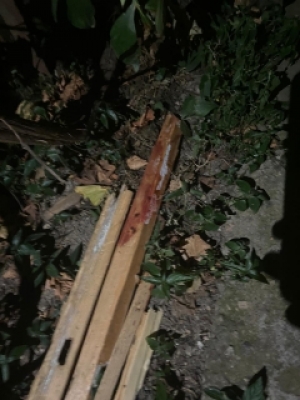 На Ставрополье пьяный мужчина до смерти забил деревянной палкой товарища
