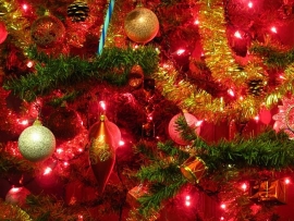 В Ставрополе можно будет купить елку «под ключ»