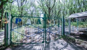 Судьба бывшего советского детского лагеря «Радуга» у подножия Машука туманна