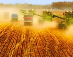 Ставропольский АПК нацелили на огромный урожай зерновых