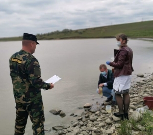 На лимане в Шпаковском районе Ставрополья погибли птицы и рыбы