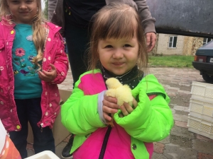 В подтопленные села на Ставрополье отправили цыплят