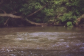 В Пятигорске двухлетний мальчик утонул в реке