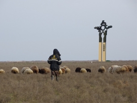 На Ставрополье с фермы украли 180 голов скота на 650 тысяч рублей