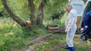 В Предгорном округе Ставрополья продезинфицируют берег реки Юцы, где нашли забой скота
