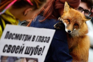 Жители Ставрополя встанут на защиту животных