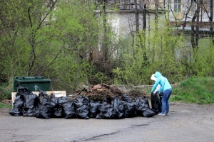 На Ставрополье чиновники вышли на субботник в свой профессиональный праздник