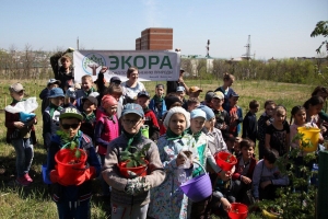 В Ставрополе сотни новых дубов укрепили урочище «Мутнянка»