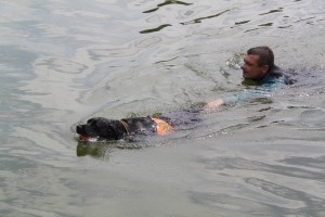 Перед купальным сезоном спасатели провели совместную тренировку в Ставрополе
