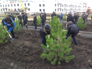 Кадеты из Севастополя и Ставрополя заложили Адмиральский парк из двух тысяч деревьев и кустов