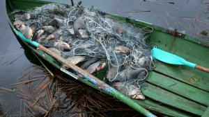 На Ставрополье рыбаки «выловили» немаленький штраф