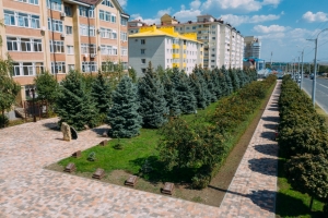 В 2020 году озеленять Ставрополь будут по запросам горожан