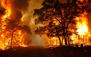 Губернатор Ставрополья потребовал усилить профилактику природных пожаров