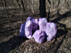 В Железноводске стартовал цикл экологических акций