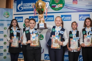 Ставропольские бильярдисты выиграли путевку на чемпионат России