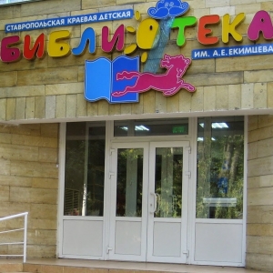 В Ставрополе открылась школа грамотности &quot;Книга + Интернет&quot;