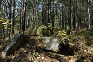 В ставропольском лесу нашли изнасилованную школьницу