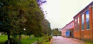 Школа в поселке Балтийский