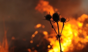 На Ставрополье в МЧС предупредили о чрезвычайной пожароопасности