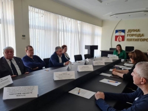 Меры поддержки людей с ограниченными возможностями здоровья обсудили в Пятигорске
