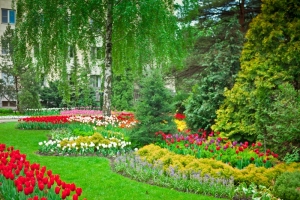 Как Ставрополь превратился в город-сад