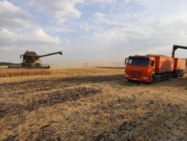 Ставропольские аграрии собрали почти 4,8 млн тонн зерна