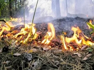 После полосы холодов на Ставрополье вернется жара