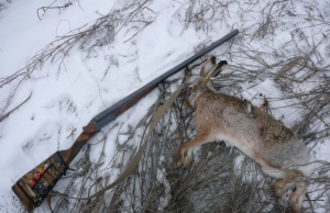 На Ставрополье полицейские поймали браконьера с трупом зайца