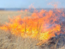 Пожар в Левокумском районе едва не уничтожил посевы хлеба