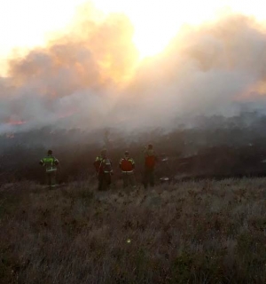 Под Ставрополем потушили крупный ландшафтный пожар