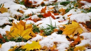 В Ставрополь вместо «бабьего лета» придет первый снег