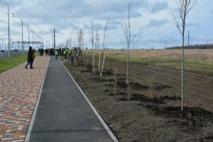 В Ставрополе по осени высадят 2500 деревьев