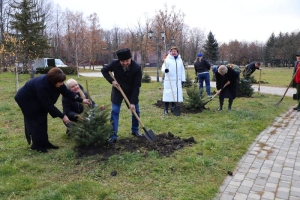 В Пятигорске появилась хвойная аллея