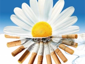 В Пятигорске сигареты обменяют на сувениры