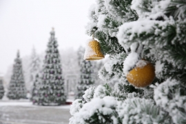 Жителям Ставрополя пообещали неповторимые новогодние праздники
