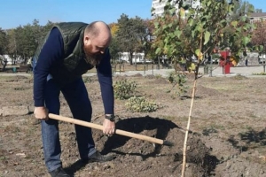 В Пятигорске восстановили аллею памяти жертв пожара в ТЦ «Зимняя вишня»