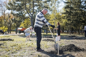 В Пятигорске ко дню рождения Лермонтова высадили клены