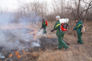 Ставропольские лесничества и лесхозы подготовили к пожароопасному периоду