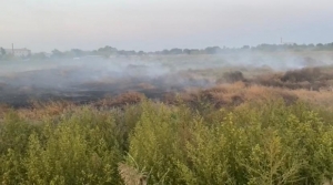 Горящей свалкой шерстомойки в Невинномысске занялась прокуратура