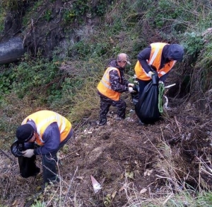 Коммунальщики, лесники и волонтёры собрали 20 тонн мусора в Члинском лесу Ставрополя